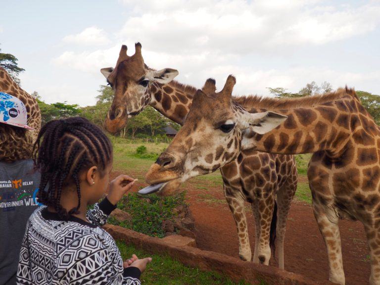 Giraffe Manor: Is It Worth The Cost? - This Battered Suitcase