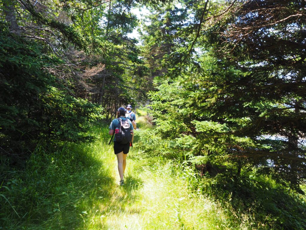 Hiking on McNabs Island